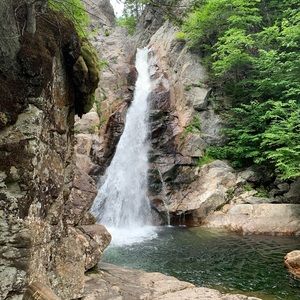 Meet your Posher, Kassie